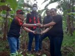 Pelaksanaan penanaman Bibit Pohon