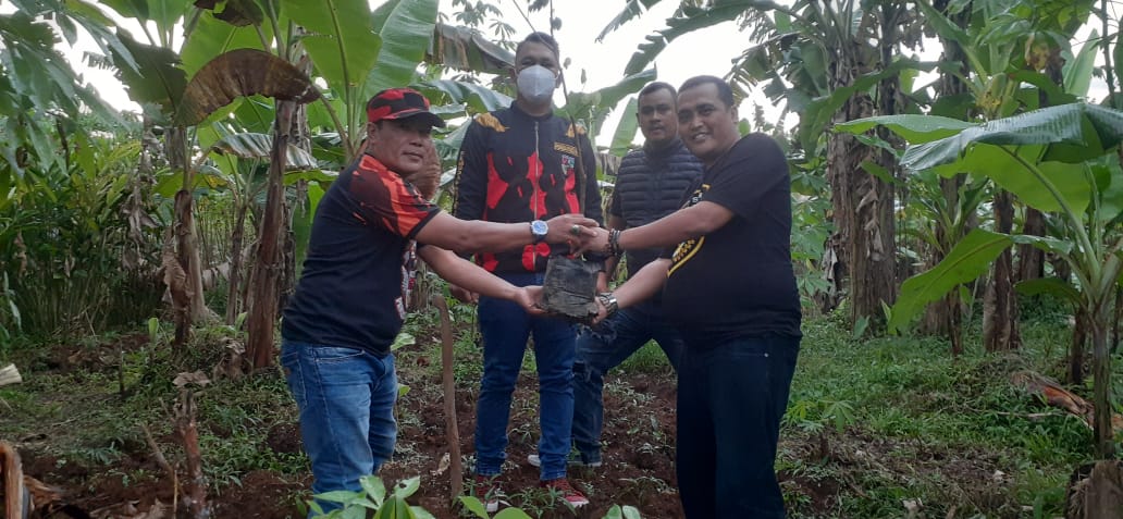 Pelaksanaan penanaman Bibit Pohon