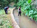 Petugas juru pengairan sedang lakukan cek kebocoran irigasi