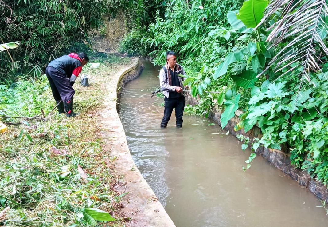 Petugas juru pengairan sedang lakukan cek kebocoran irigasi