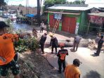 Eksekusi pemotongan pohon mahoni yang telah keropos di Cikembar
