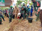 Pelaksanaan Program Reboisasi di kecamatan jampangtengah